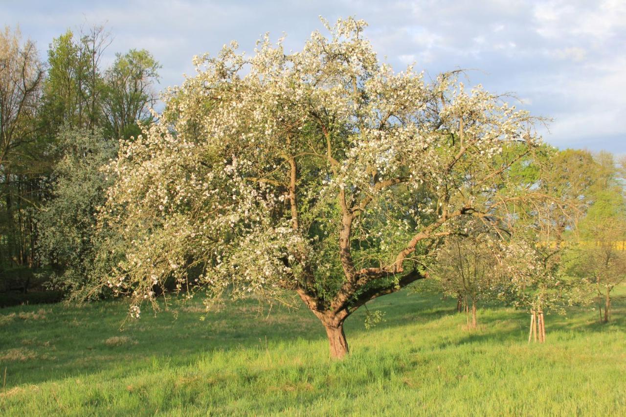 Apfelscheune Cannewitz Malschwitz Esterno foto