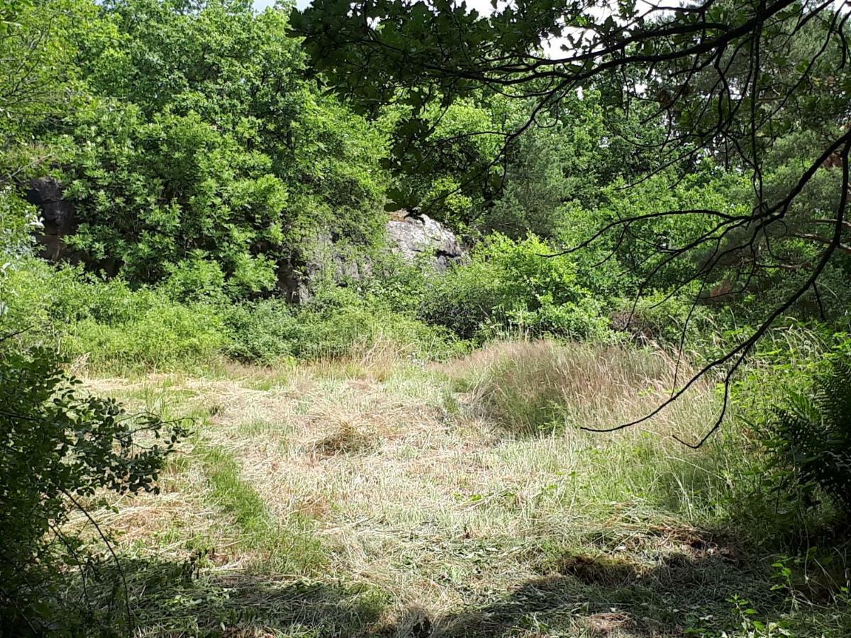 Apfelscheune Cannewitz Malschwitz Esterno foto