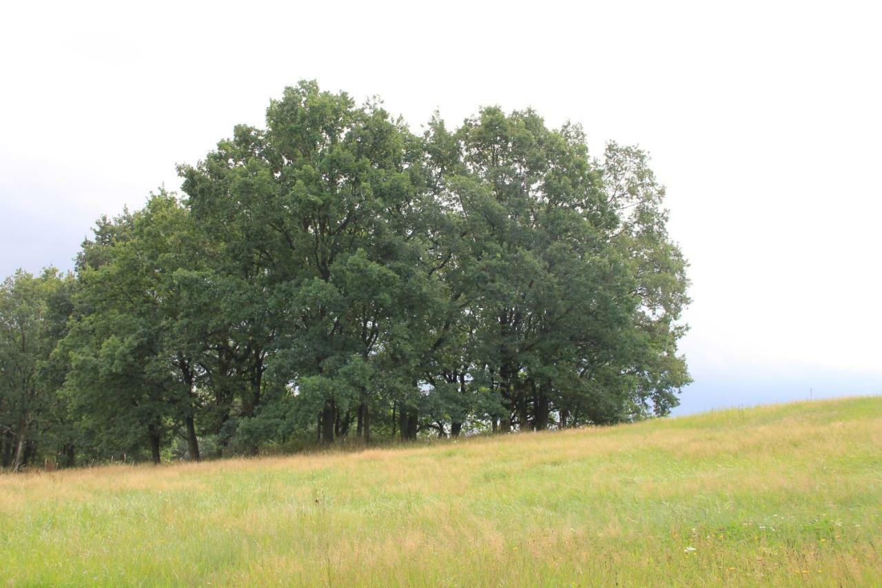 Apfelscheune Cannewitz Malschwitz Esterno foto